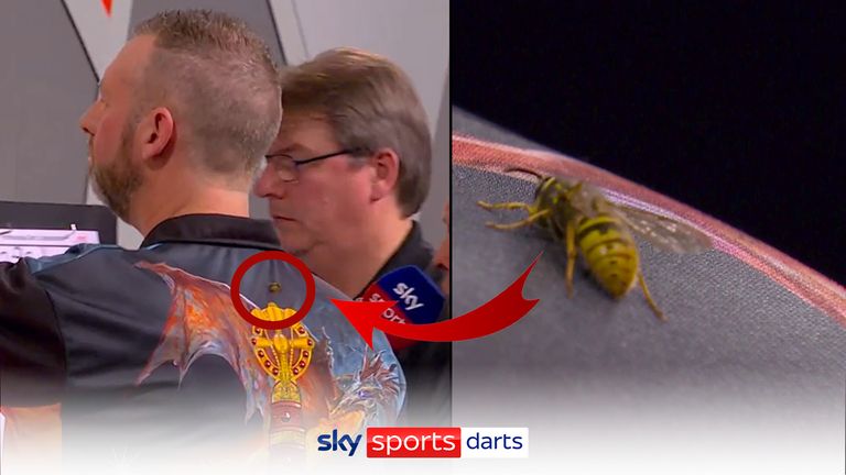 The famous Ally Pally wasp landed on David Cameron's back during his match against Ritchie Edhouse, but it proved to be a lucky charm for the Canadian on his way to a remarkable 3-2 triumph
