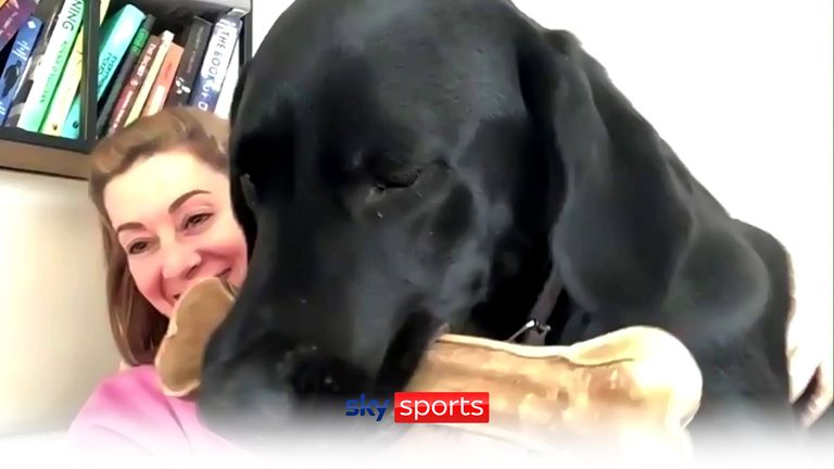Hayley Turner is photobombed by her dog Frank on Sky Sports Racing.