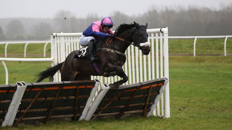 Jupiter Du Gite in full flight during victory at Newbury