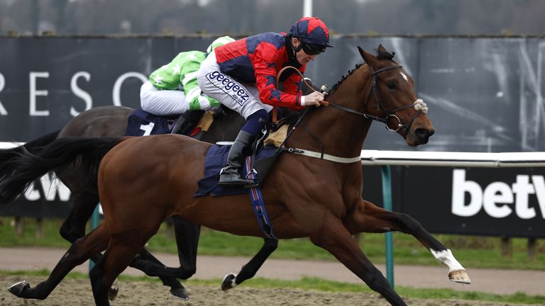 War In Heaven and David Probert win on day two of The Winter Million Festival at Lingfield