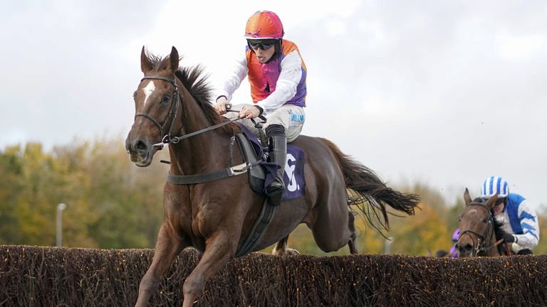Wayfinder is favorite to win the Welsh Grand National Trial on Saturday