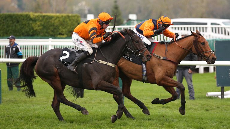 West Approach (left) on the winning track at Cheltenham
