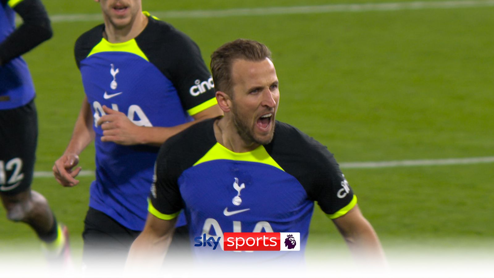 Harry Kanes Record Equalling Goal From All Angles With His Analysis Football News Sky Sports