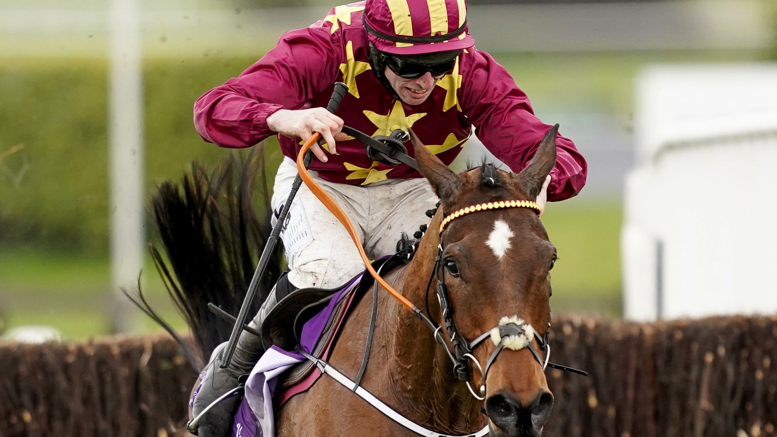 Great form. Cheltenham Festival.