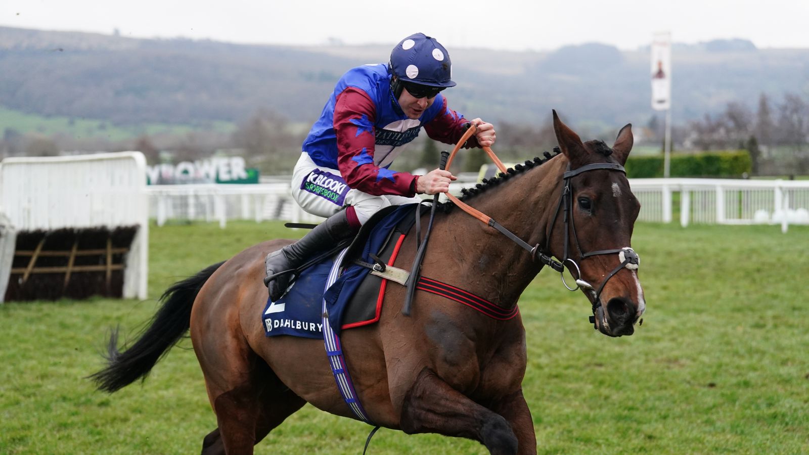 Paisley Park Staying star retires after Cheltenham Festival contest