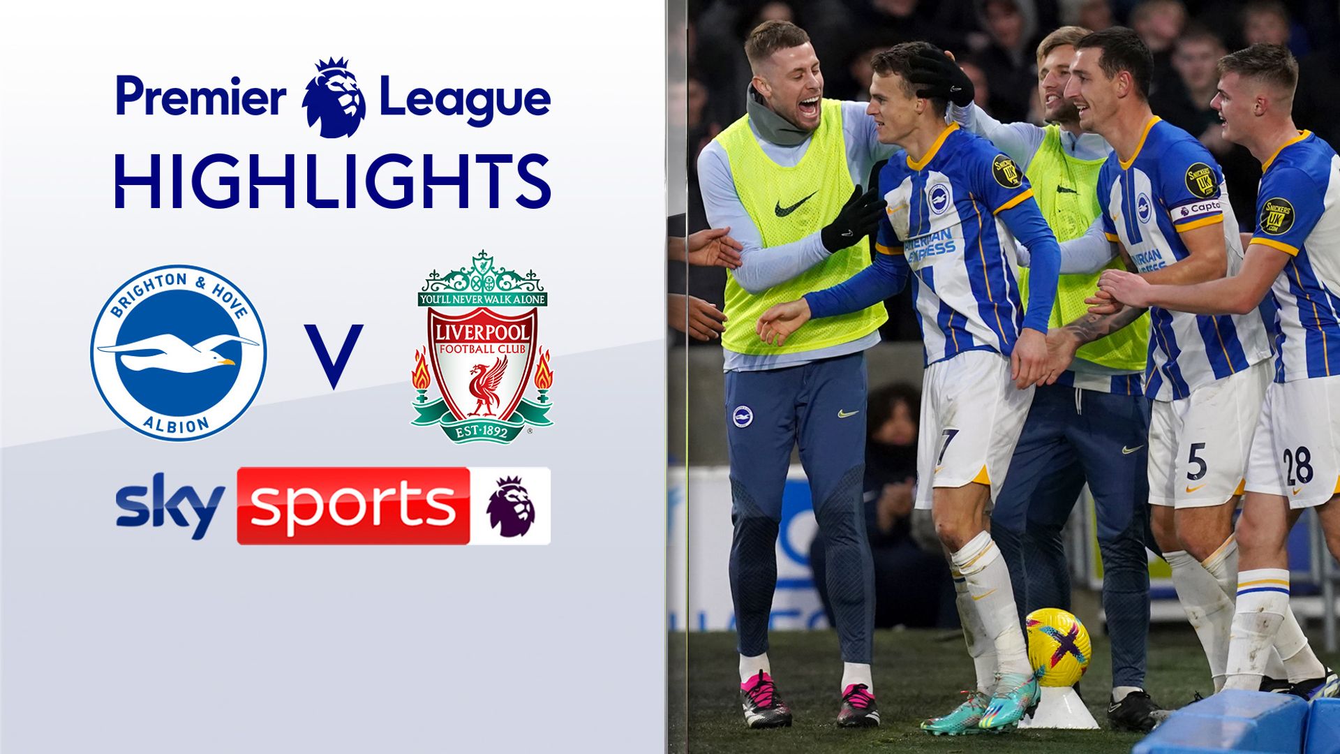 Impressive Brighton comfortably beat Liverpool at Amex