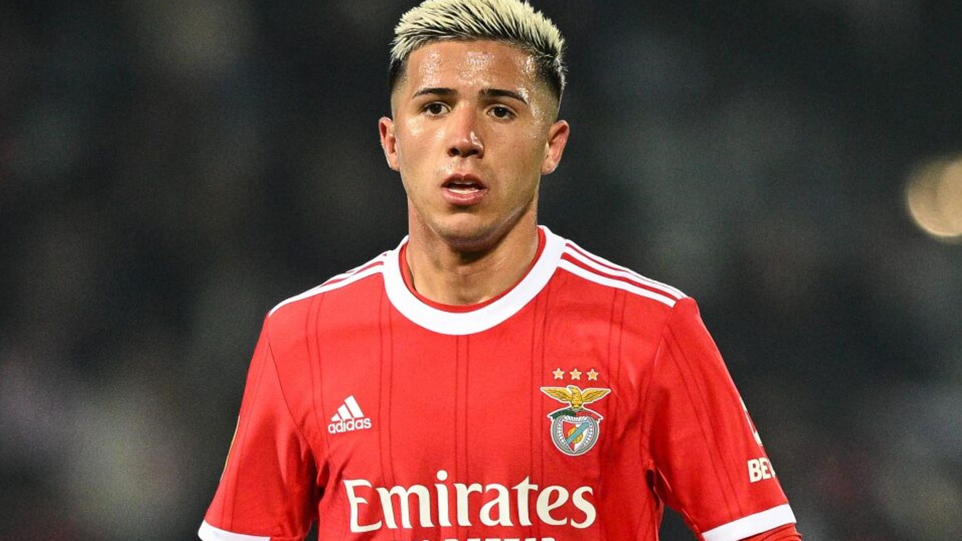 Why are Chelsea so desperate to sign Enzo Fernandez?