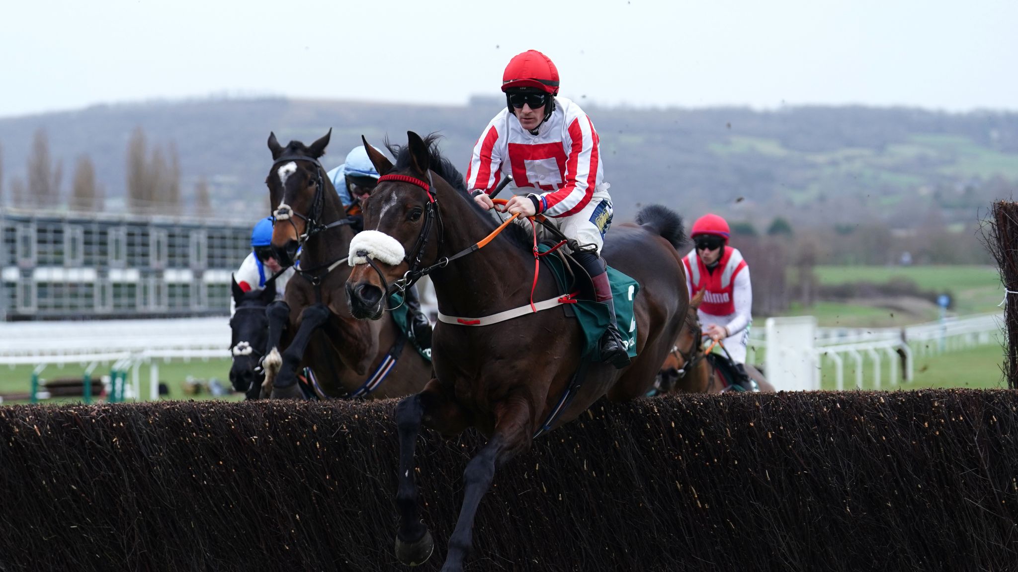 Brown Advisory Looks ‘Most Logical’ Target For The Real Whacker Dipper Novices' Chase: The Real Whacker dominates Cheltenham rivals from the front to set up Gold Cup dream | Racing News | Sky Sports
