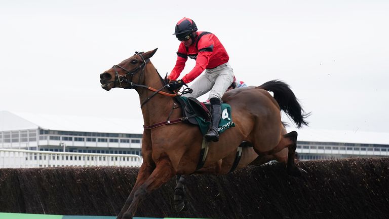 Ahoy Senor saute à l'avant dans le Cotswold Chase