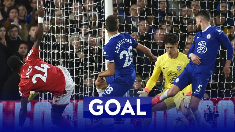 Aurier levels for Forest