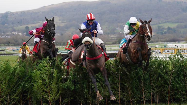 Back On The Lash jumps to the front at Cheltenham