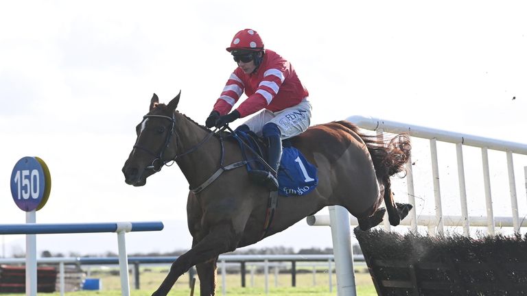 Blood Destiny and Paul Townend win the Race Displays Hurdle at Fairyhouse