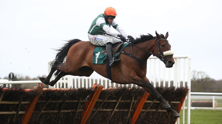 Calico in action under Harry Skelton over hurdles