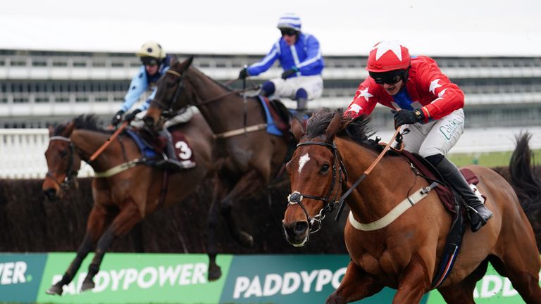 Editeur Du Gite (near) heads up the run-in in the Clarence House Chase ahead of Energumene and Edwardstone