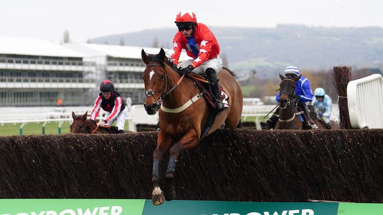 Editeur Du Gite leads the field in the Clarence House Chase at Cheltenham