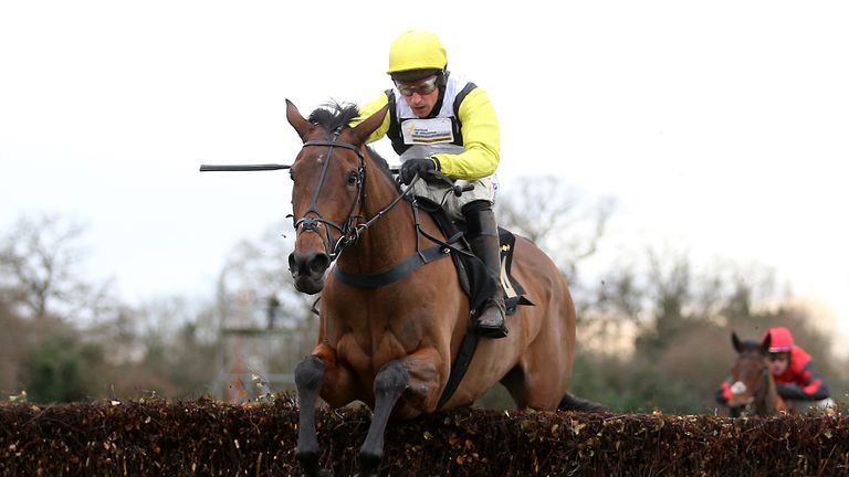 Galia Des Liteaux proved too good for her rivals in the Hampton Novices' Chase