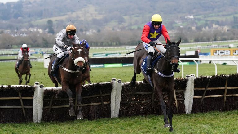 Gold Tweet (left) comes from behind to beat Dashel Drasher in the Cleeve Hurdle at Cheltenham