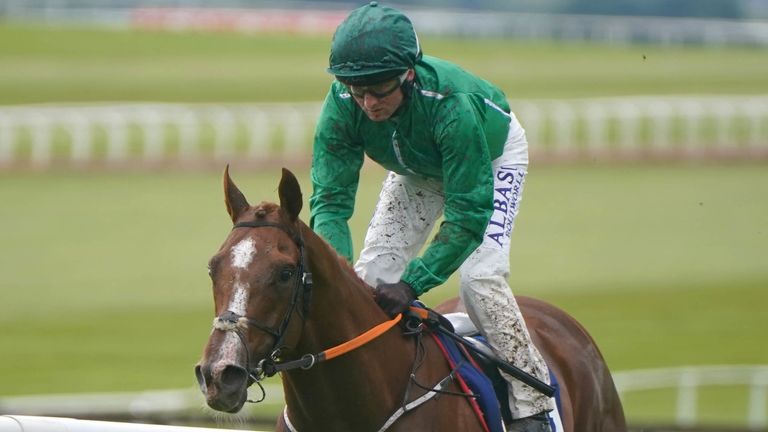 HMS Seahorse looks set to line up at the Cheltenham Festival