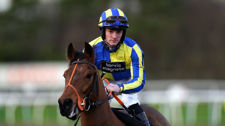 Matchless has won two of his four starts over hurdles