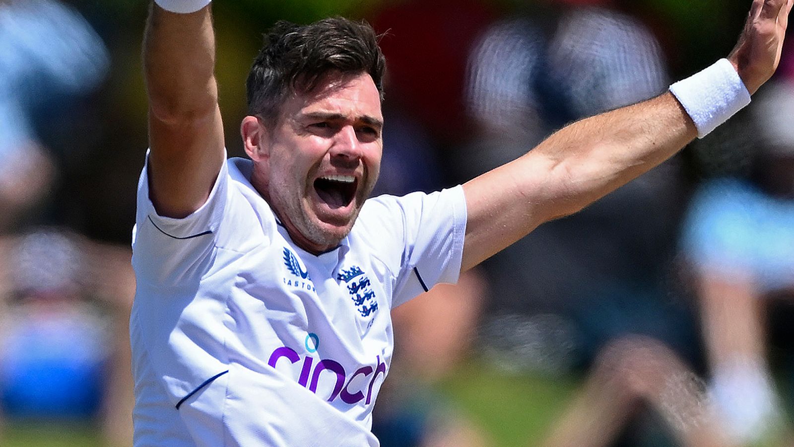 Inglaterra derrota a Nueva Zelanda por 267 carreras en la primera prueba cuando James Anderson toma cuatro terrenos en el último día |  Noticias de críquet