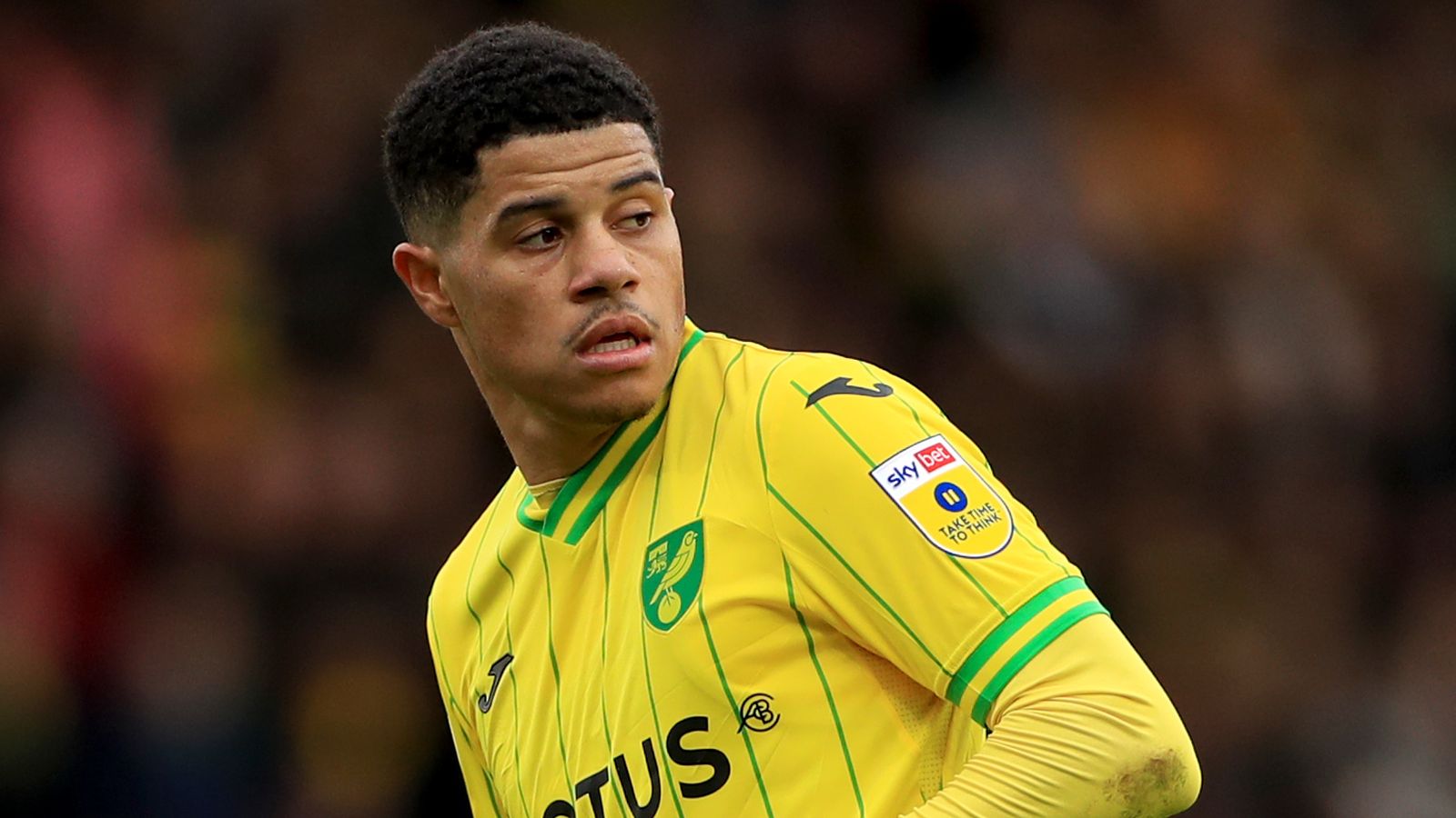 Norwich City 2-0 Cardiff City: Gabriel Sara and Marquinhos score in  Canaries win, Football News