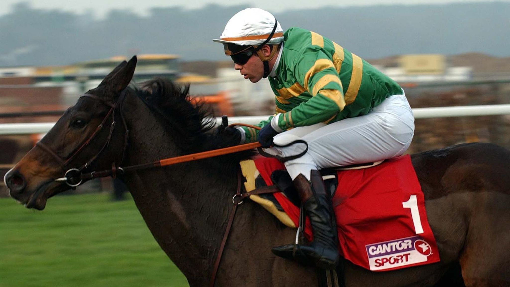 Baracouda Dual Stayers' Hurdle winner and fourtime Long Walk hero dies aged 28 Racing News