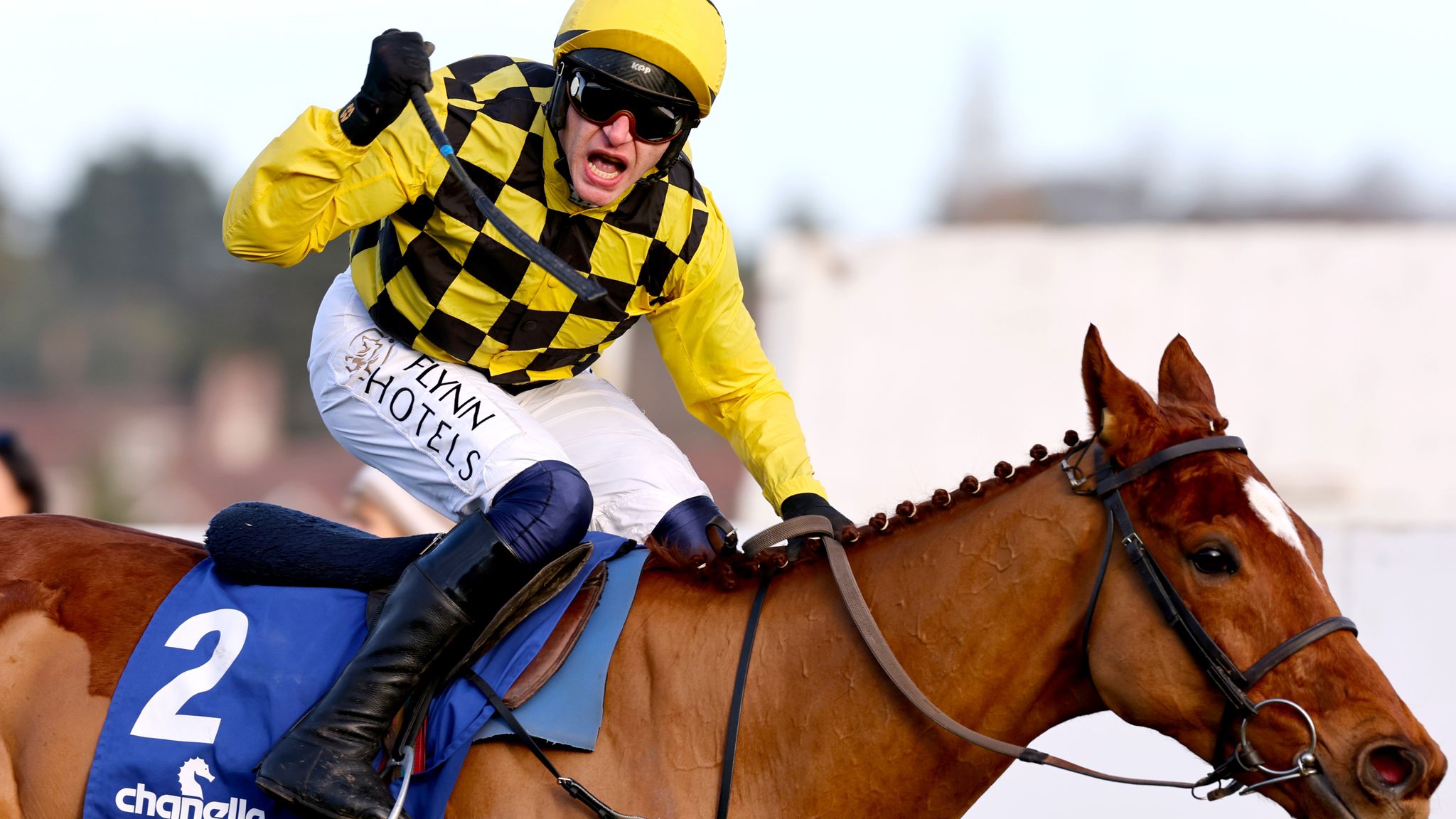 Cheltenham Festival: Willie Mullins reveals all on his team, including ...