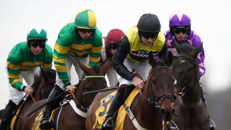 Aucunrisque was steered to Betfair Hurdle victory by Nick Schofield
