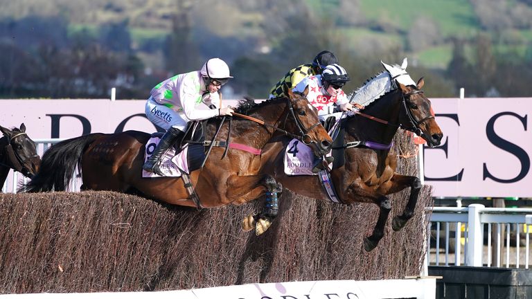 Aye Right (centre) leads the field in last year's Gold Cup at Cheltenham