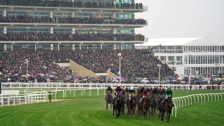 The Coral Cup field head away from the grandstands at Cheltenham