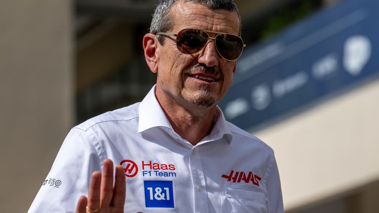 Haas team principal Guenther Steiner has repeatedly expressed his admiration for Ricciardo