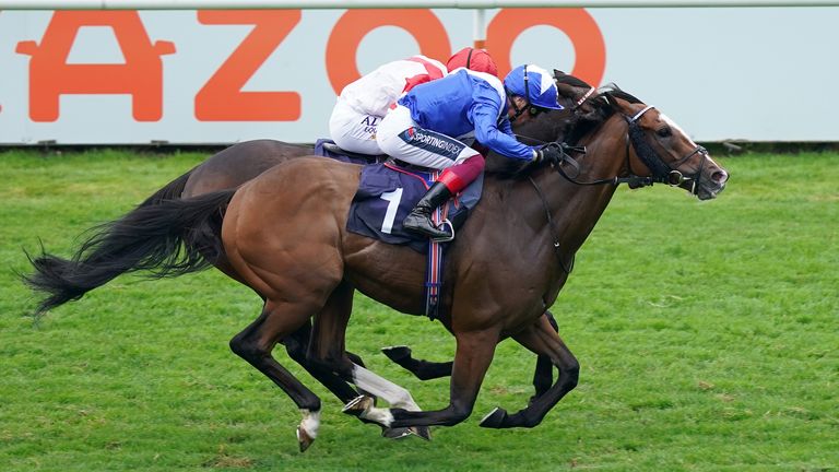 Harrovian (nearside) gets his head in front at Doncaster