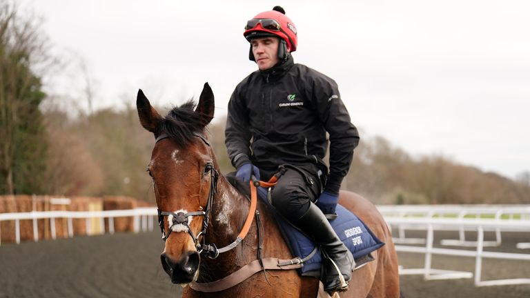 Love Envoi takes in a gallop at Kempton ahead of her intended run in the Mares' Hurdle