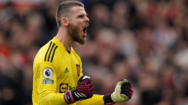 David de Gea celebrates Manchester United take the lead against Leicester City