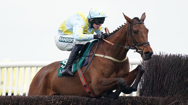 Millers Bank finished down the field in the King George when last seen