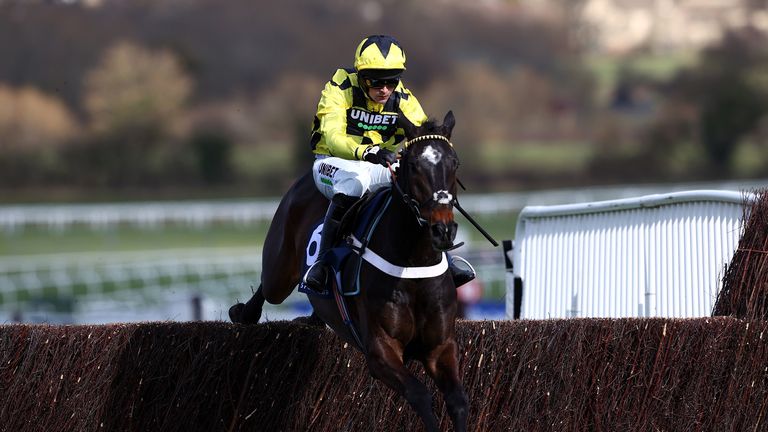 Shishkin jumps to victory in the Arkle at Cheltenham