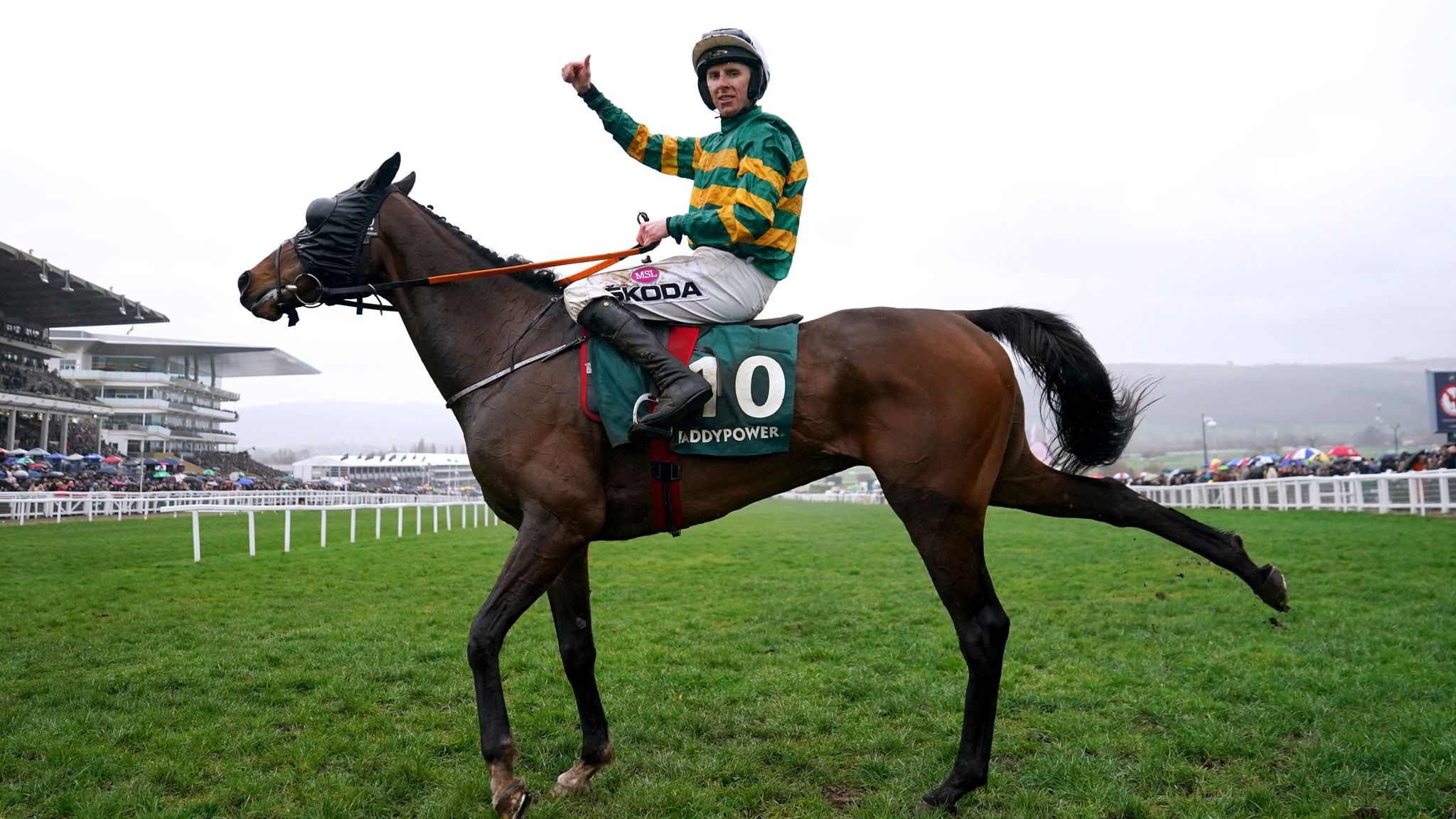 Cheltenham Festival Sire Du Berlais causes a shock in the Stayers