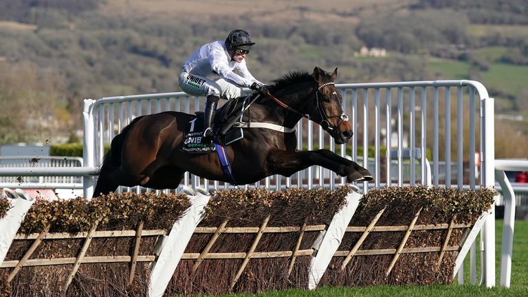 Simply sensational - Constitution Hill on his way to Champion Hurdle glory
