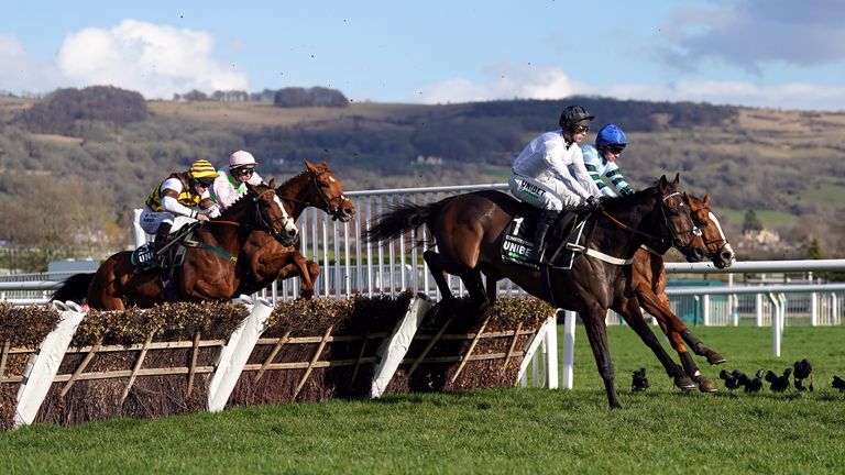 Constitution Hill jumps alongside and past Not So Sleepy early on in the Champion Hurdle