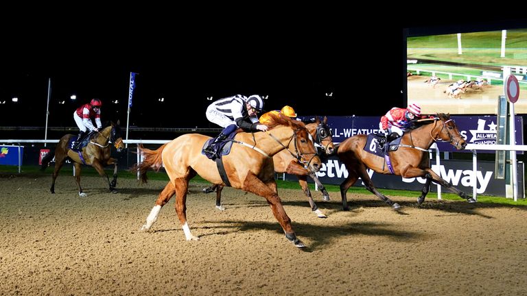 Daheer ridden by David Probert (black and white) coming home to win the Play 4 To Score At Betway Handicap at Wolverhampton