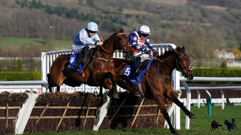 Honeysuckle and Love Envoi battle it out in the Mares' Hurdle