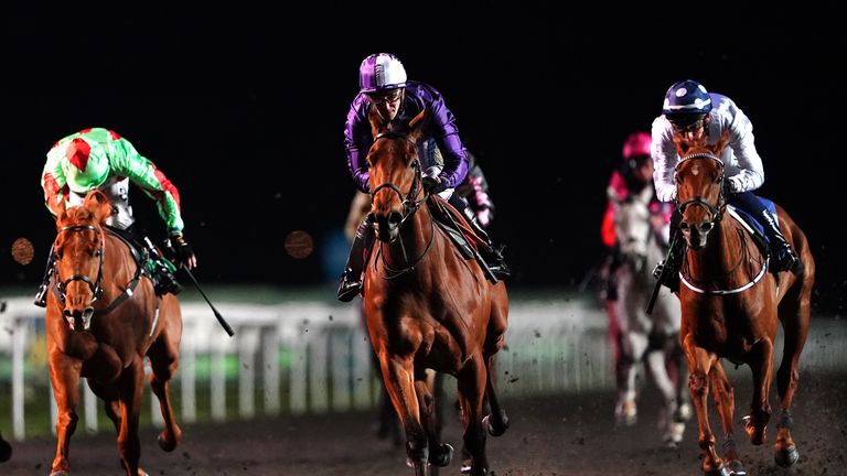 Stott (purple) has signed to be Amo Racing's retained jockey this year