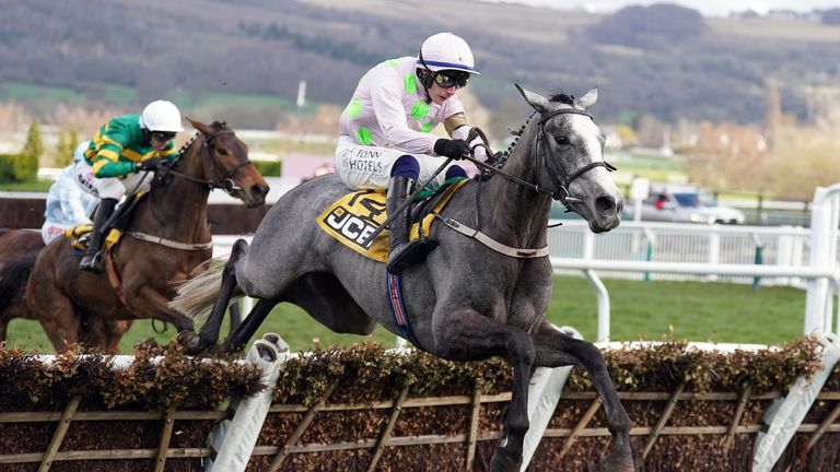 Lossiemouth jumps to Triumph Hurdle victory at the Cheltenham Festival