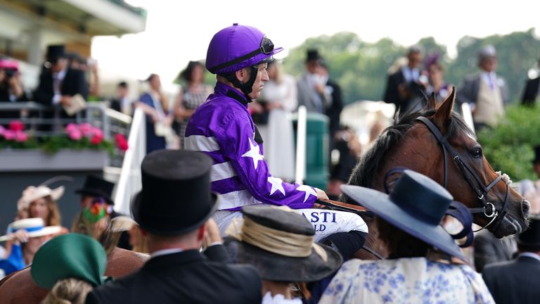 Oh Herberts Reign heads out past racegoers at Royal Ascot