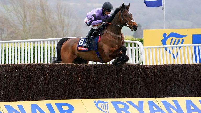 Stage Star and Harry Cobden jump last in the Turners' Novices' Chase at Cheltenham
