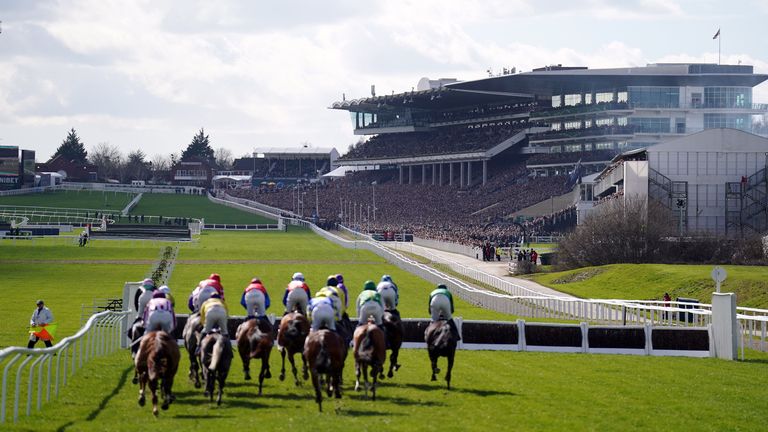 The Supreme Novices&#39; Hurdle field head off towards the packed Cheltenham grandstands
