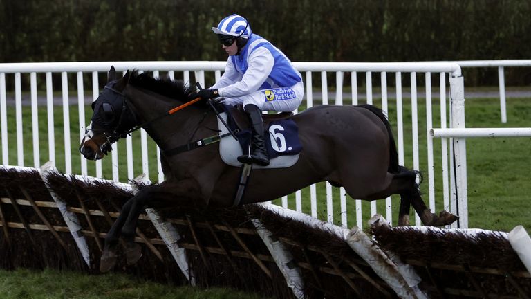 The Imposter on his way to winning the At The Races App Market Movers Novices&#39; Handicap Hurdle at Lingfield Park