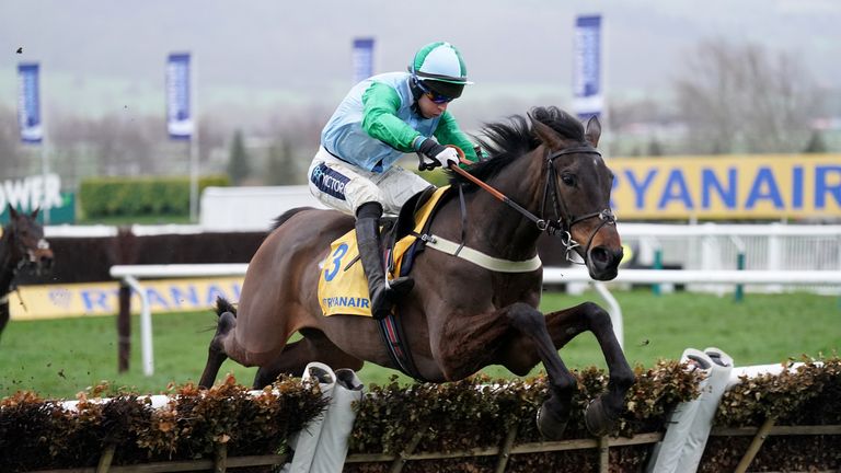 You Wear It Well would not be passed in the Jack de Bromhead Mares' Novices' Hurdle