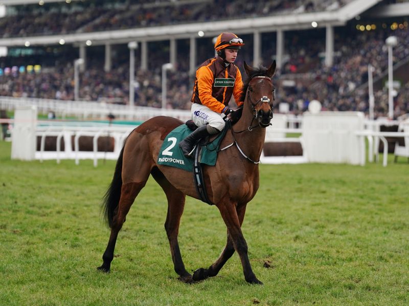 Sky Sports presenter branded 'Cheltenham's most glamorous leader upper' as  she stuns at Gold Cup