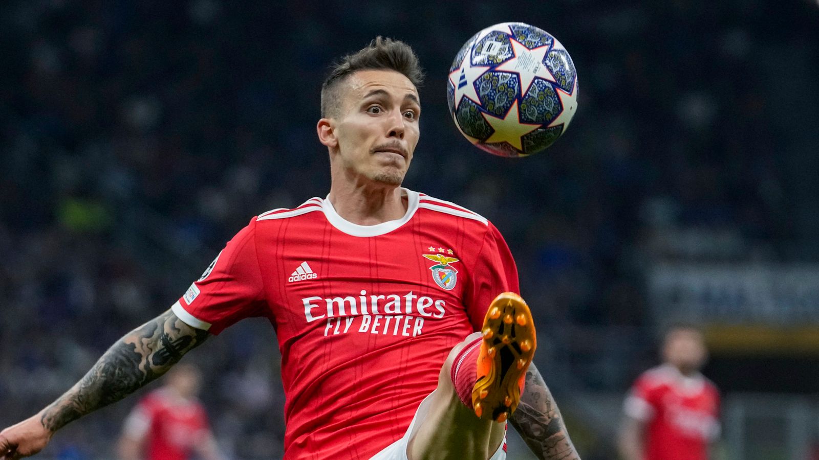 Fulham quer contratar o defesa-esquerdo do Benfica, Alex Grimaldo, enquanto procura reforços defensivos este verão |  notícias de futebol